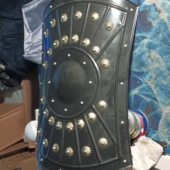 Roman sheild - Picture 3 of 4
